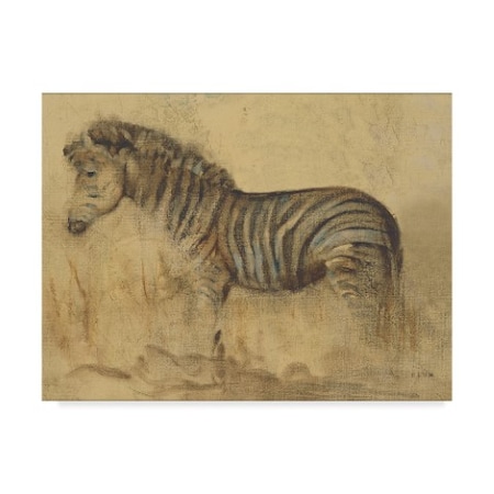 Trademark Fine Art Cheri Blum 'Global Zebra Light Crop' Canvas Art, 35x47 WAP07770-C3547GG